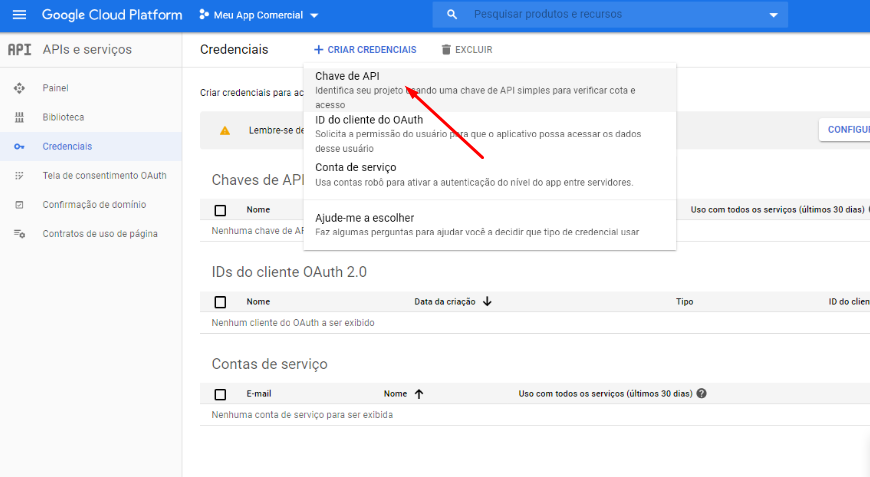 Como Gerar Uma API Javascript do Google Maps