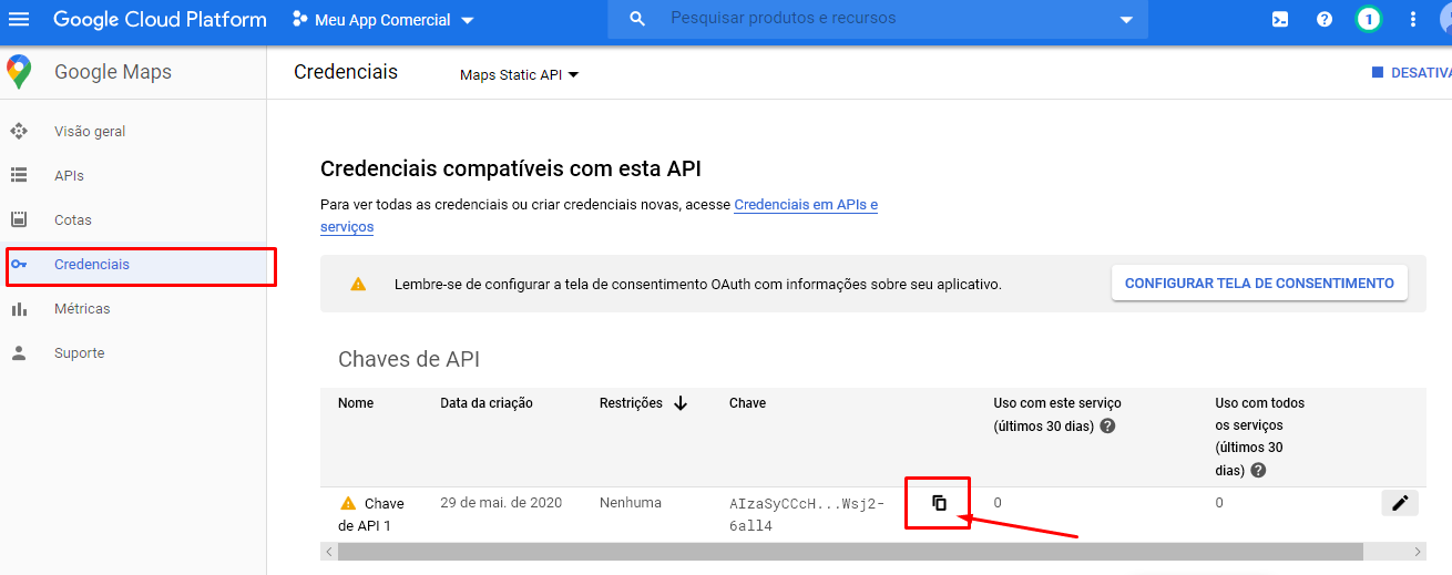 Como Gerar Uma API Javascript do Google Maps